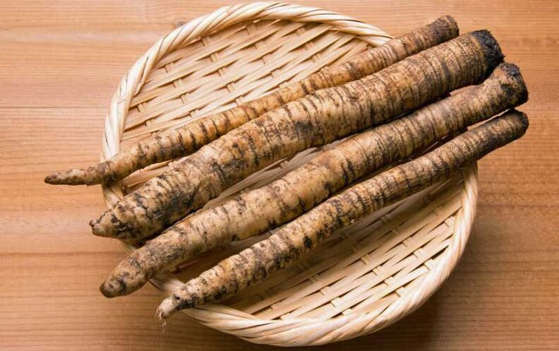 Horseradish root used to treat prostatitis